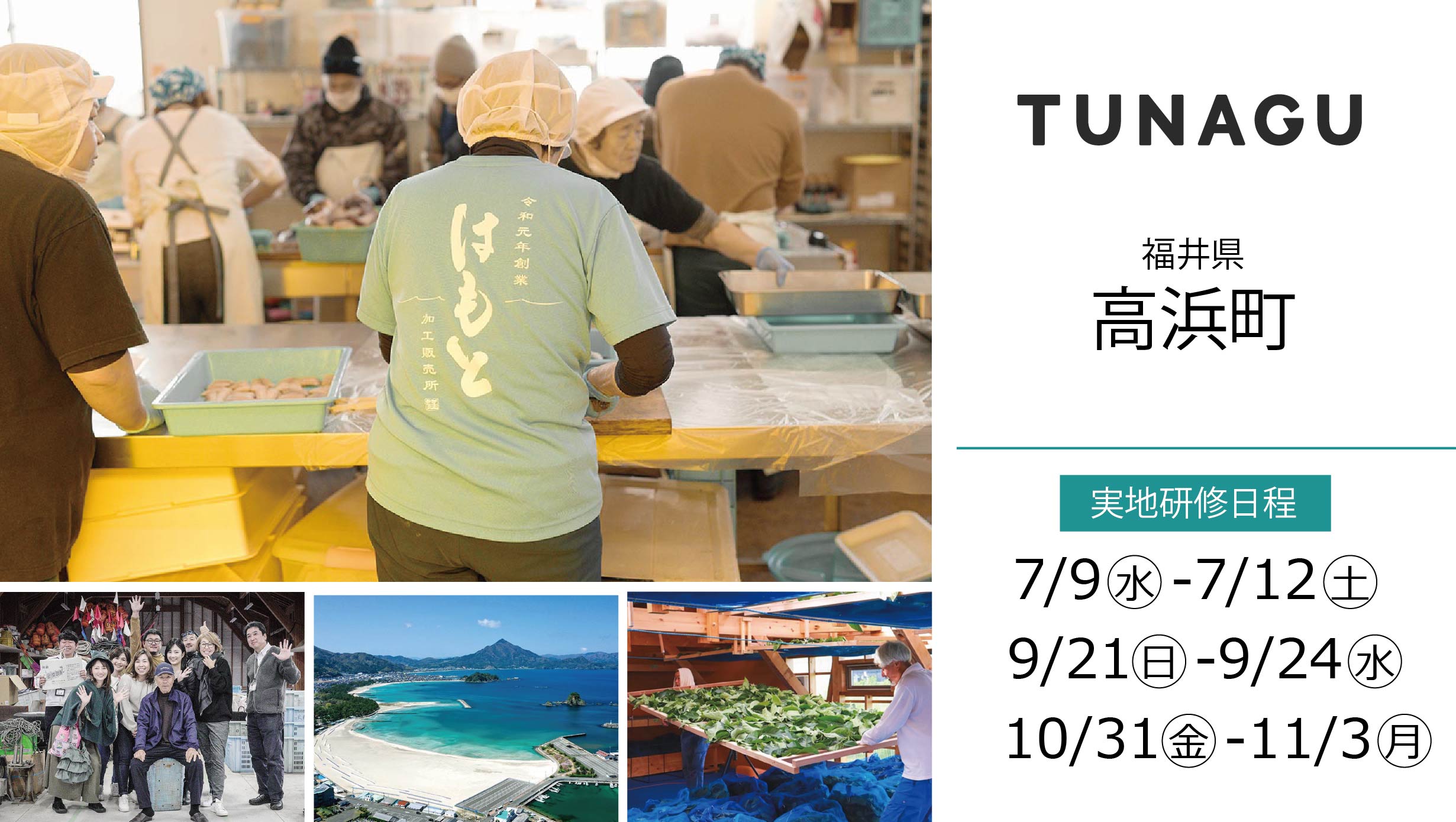 3e34dfac1aca385c6e84b950e36727