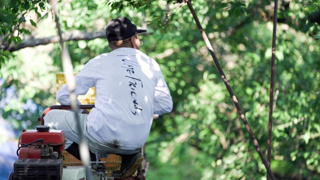 【和歌山県みなべ町】農業（梅）・林業（ウバメガシ）・「世界農業遺産/梅システム」・農家さんとのつながり